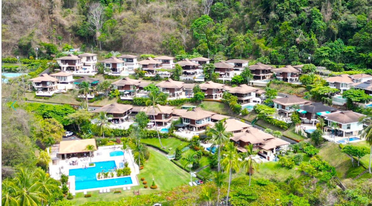 El caso por el asesinato de Lita McClinton de 35 años durante muchos años parecía que iba a quedar en la impunidad, durante 19 años su esposo el gringo multimillonario James Vicent Sullivant de 71 años estuvo en fuga.