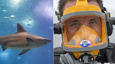 Mauricio Hoyos, biólogo mexicano atacado por tiburón en la isla del Coco, muestra las heridas que marcaron su rostro