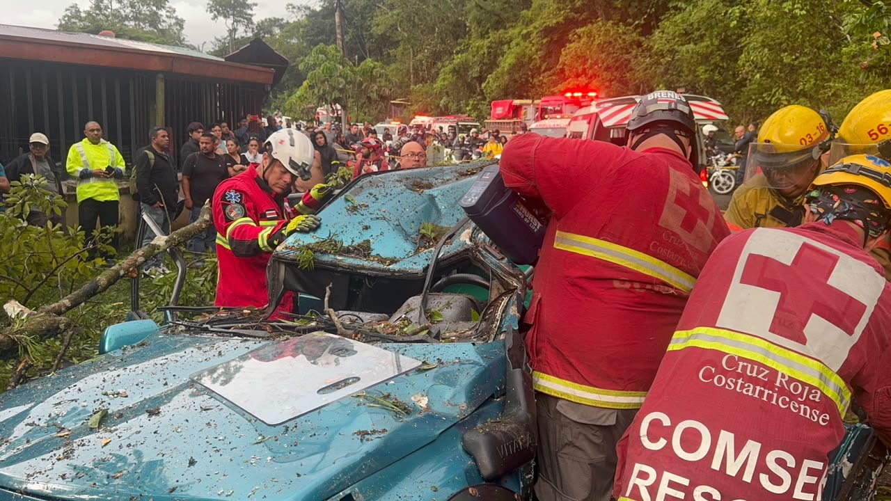 Un árbol cayó sobre un carro y dejó personas atrapadas