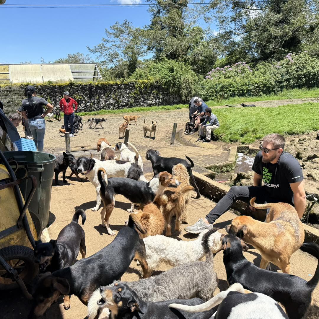 La Asociación Animales de Asís, en Heredia, recoge perritos abandonados, enfermos y despreciados por la sociedad.