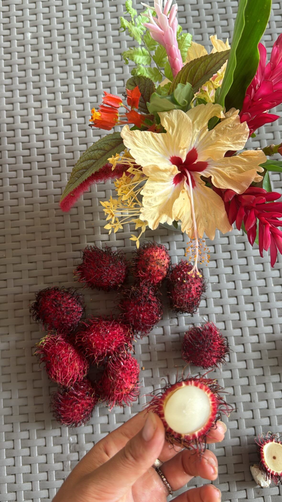 Brisa compartió esta imagen con sus seguidores.