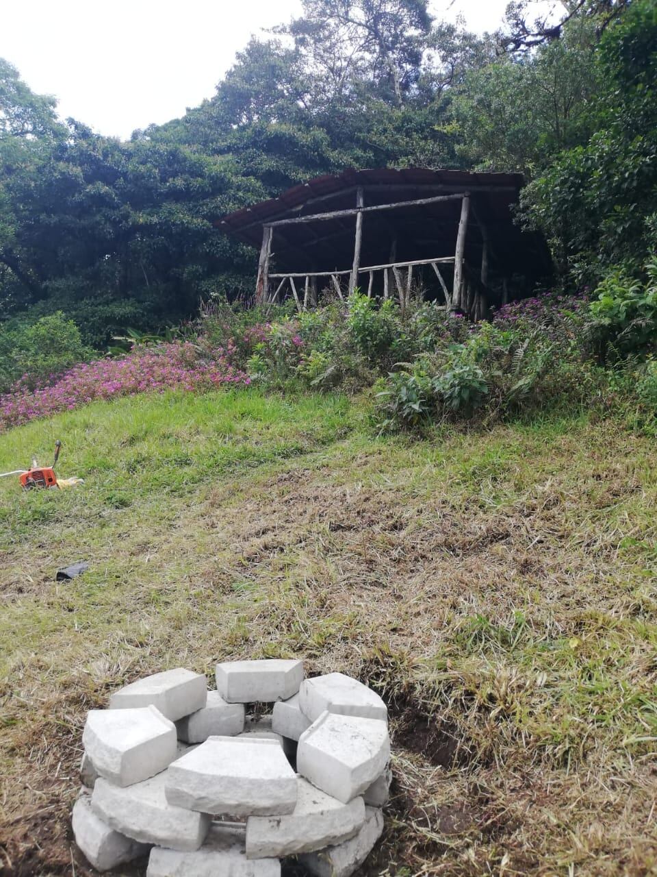 Disfrute en familia. Foto Cortesía