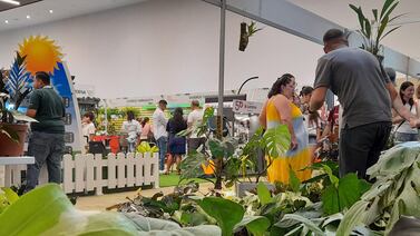 ¿Es amante de las plantas? Esta información le encantará