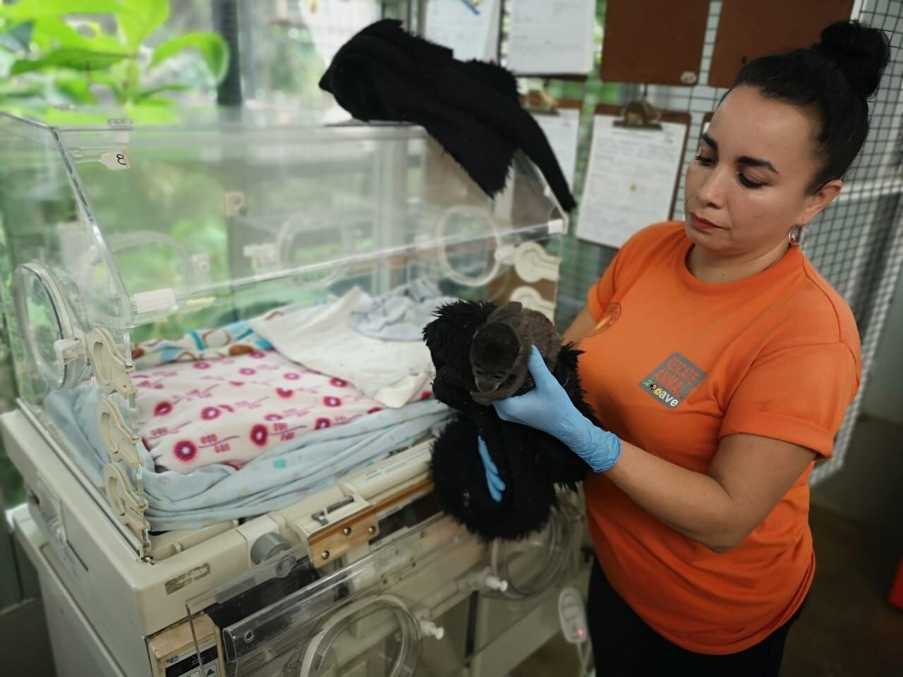 Día de las madres, Aleida Méndez, cuidadora del ZooAve
