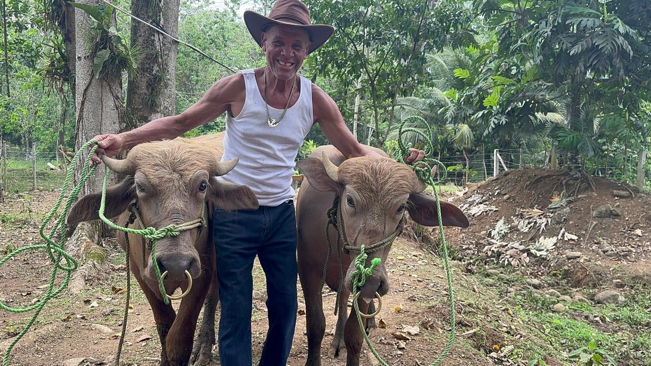 Shakira Shedden es la hija de Gilberto Shedden conocido como "Chito" quien domesticó al cocodrilo Pocho el cual murió el 12 de octubre del 2011. Shakira ahora doma búfalos y es reina de belleza.
