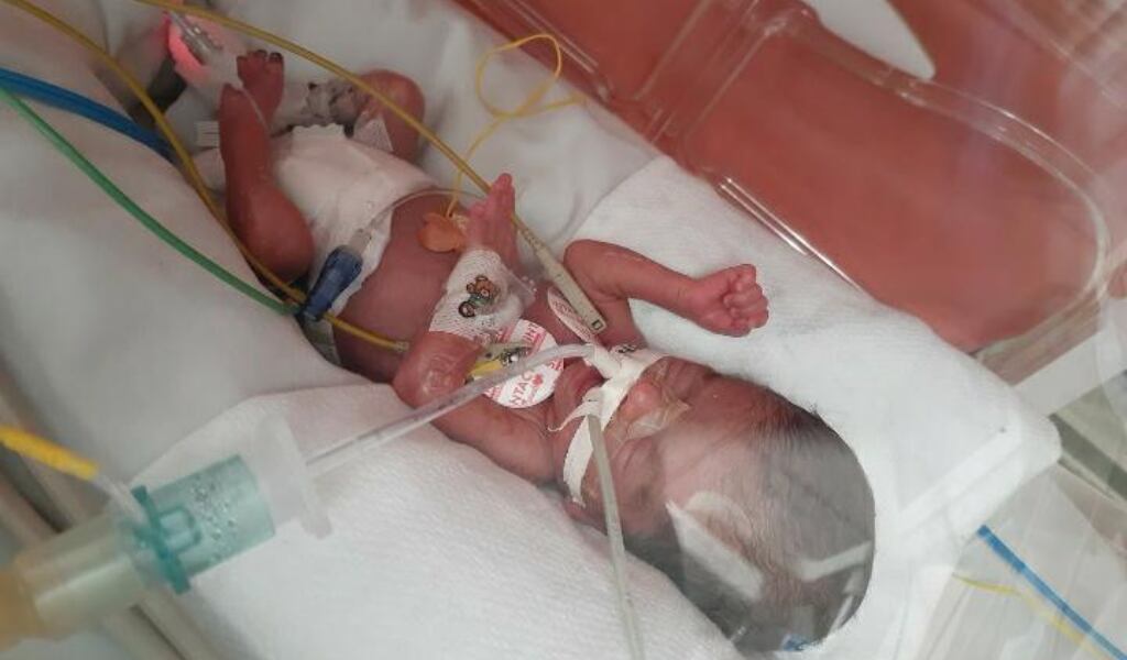 Amanda una historia de milagro