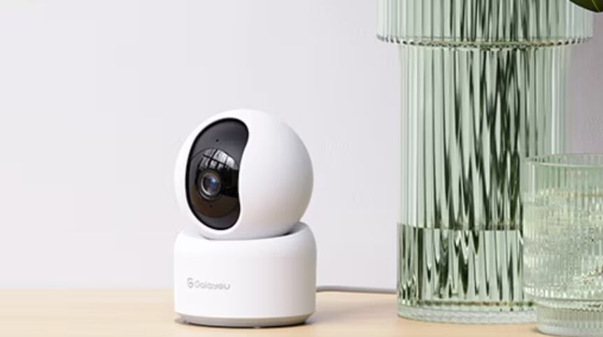 Artículos tecnológicos para perros.