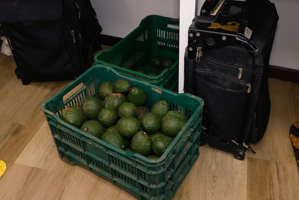 Edgar Silva se dedicó a vender aguacates en el camerino de Nace una estrella.