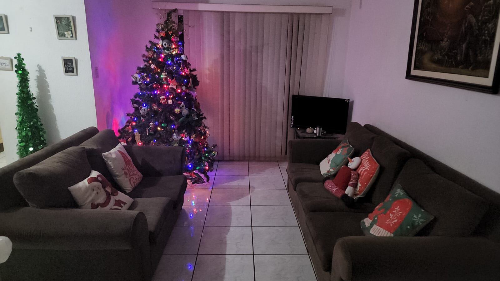 En Lagunilla de Heredia hay una casa que desde el pasado 16 de setiembre ya huele a navidad en todos sus rincones porque doña Laura Barrientos Brenes la adornó completamente
