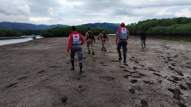 Esperanzadora búsqueda de adolescente desaparecida en la Zona Sur seguirá este sábado