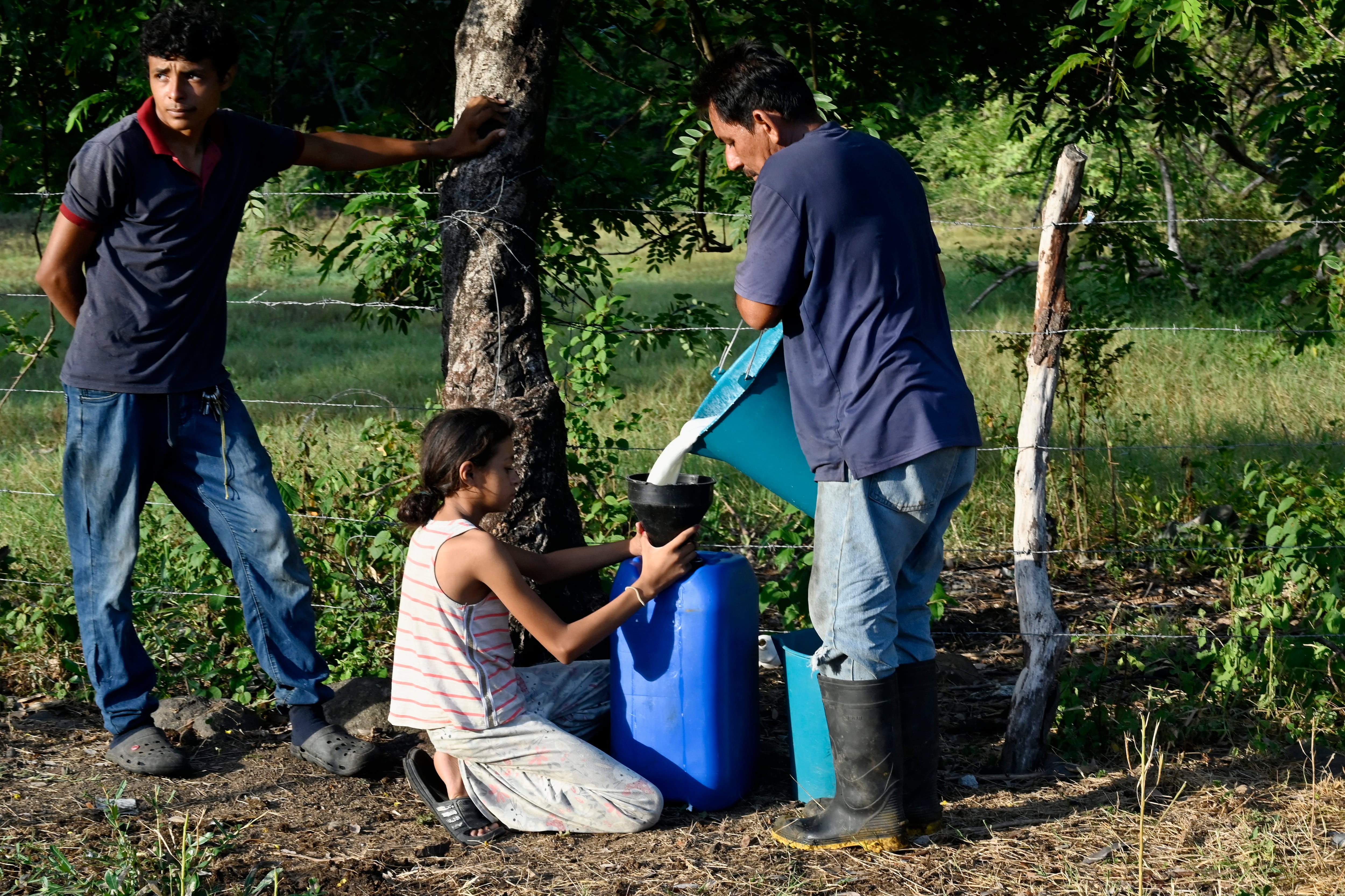 Sequía en Centroamérica por el fenónemo de El Niño