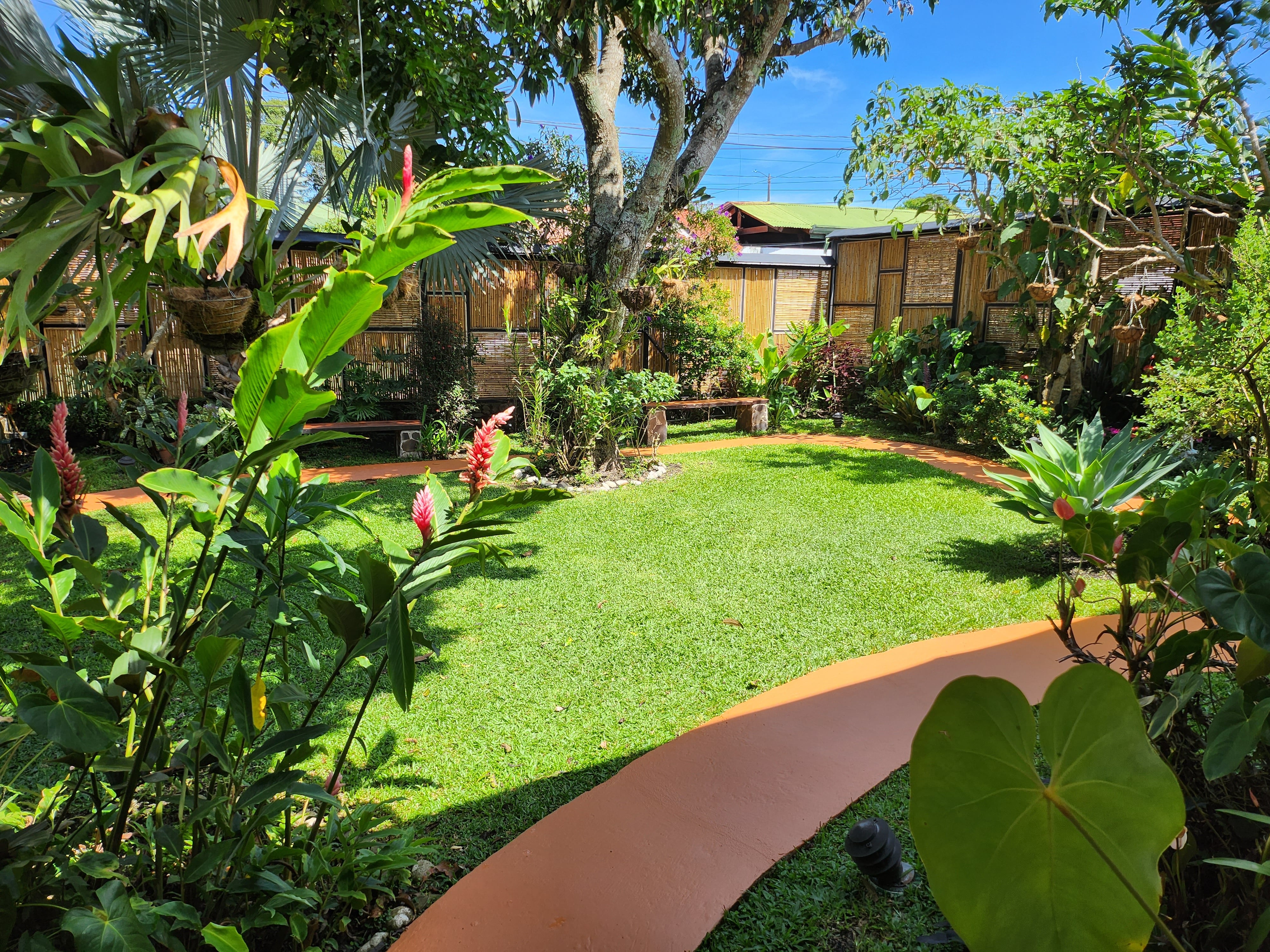 Perfil - guía para meditar