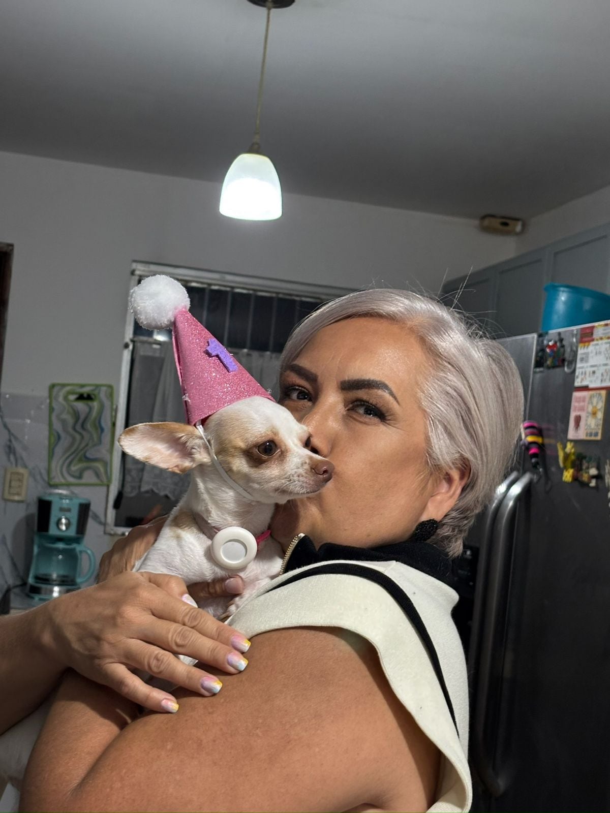 En El Porvenir de Desamparados, en San José, hay una casa donde tres pequeños chihuahuas mandan más que los humanos. Lo curioso es que la dueña del hogar, doña Milagro Monge León, durante buena parte de su vida no soportaba ni tener un perro cerca