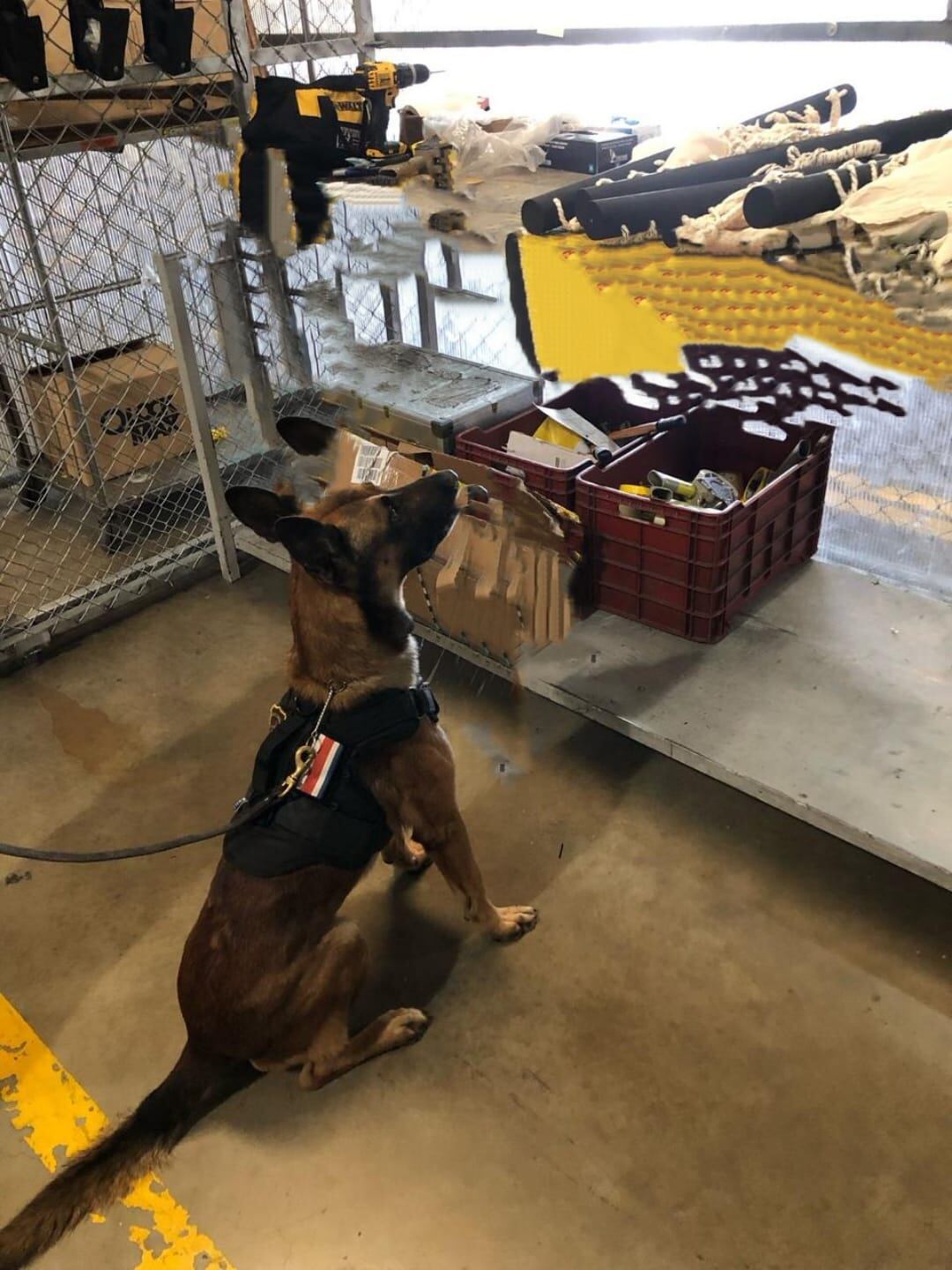 En pleno abril del 2025 hubo quienes se la jugaron tratando de mandar casi 6 kilos de cocaína por correo ¿adivinen qué pasó? Pues claro, las autoridades se dieron cuenta casi al instante.