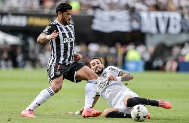 El Botafogo de Brasil se proclamó campeón de la Copa Libertadores y aseguró su cupo al Mundial de Clubes. Foto tomada de X.