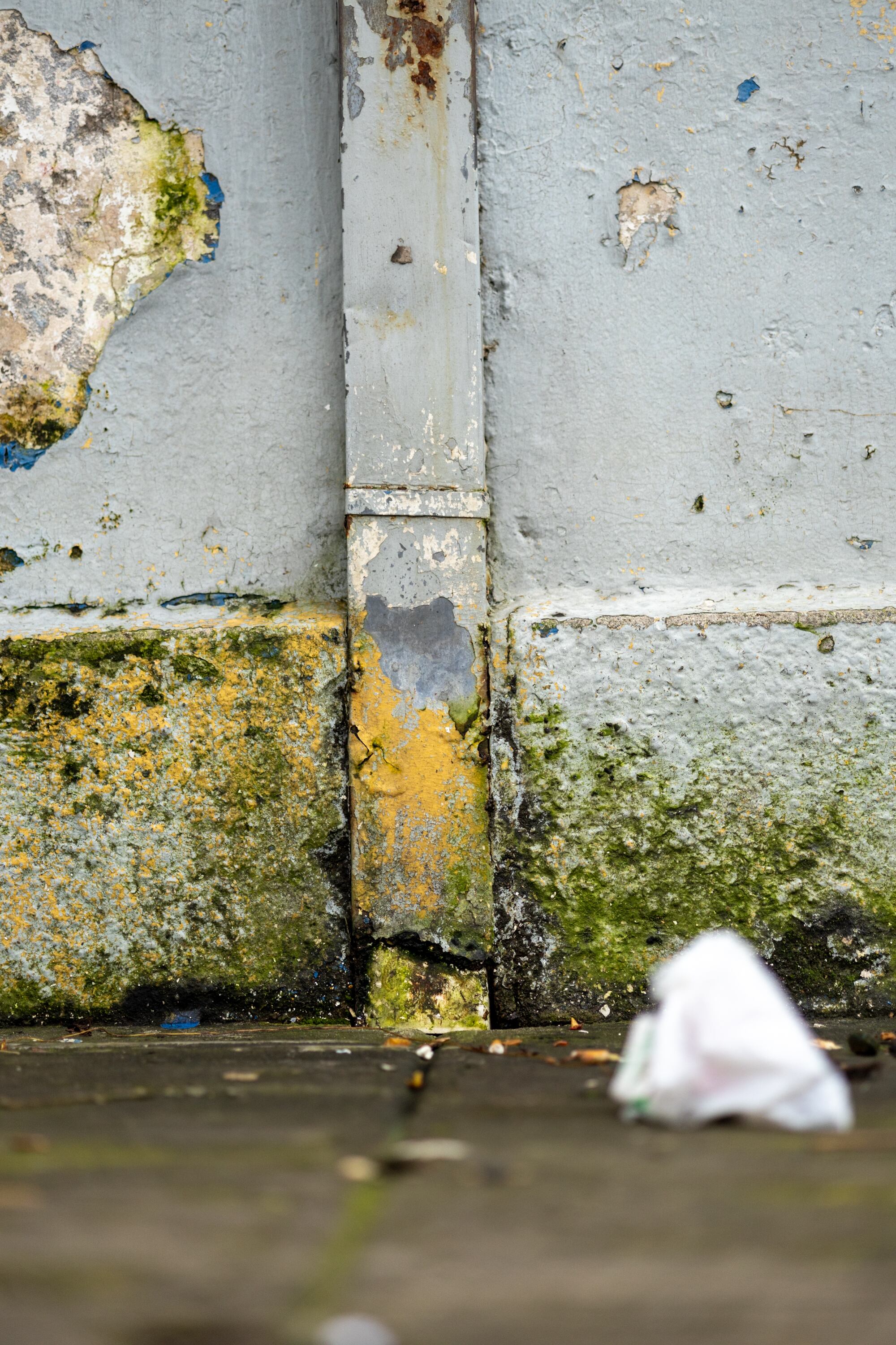 14/11/2024, Cartago, fotografías del Gimnasio del Colegio de San Luis Gonzaga, para poder observar el deterioro en el que está el edificio abandonado.
