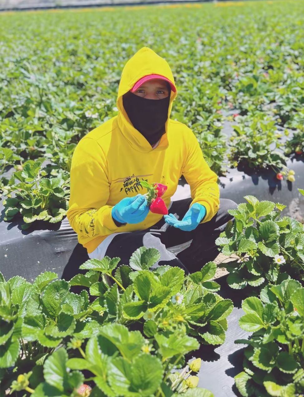 Campes1no en Estados Unidos