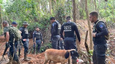“Oveja policía” patrulla Crucitas para darle caza a oreros ilegales