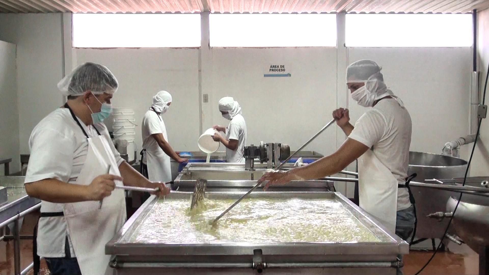 Eliminan los aranceles de la leche: ¿serán más baratos los productos lácteos? 13 Cuatro trabajadores con indumentaria de seguridad procesan productos lácteos en grandes tanques dentro de una planta industrial en Costa Rica.