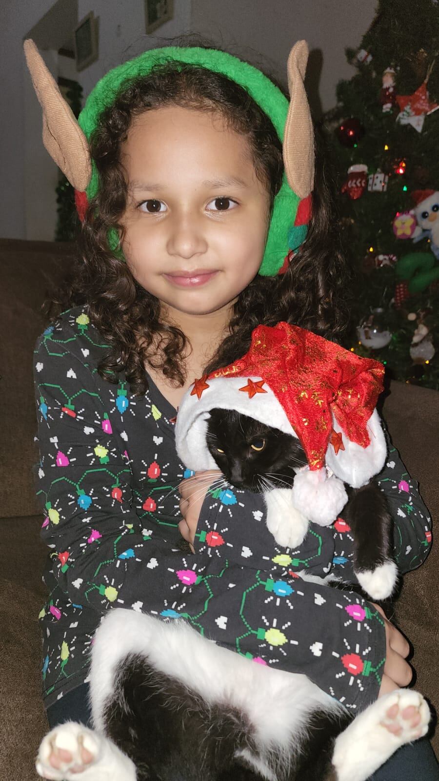 En Lagunilla de Heredia hay una casa que desde el pasado 16 de setiembre ya huele a navidad en todos sus rincones porque doña Laura Barrientos Brenes la adornó completamente. En la foto la hija Luciana con Luna, la gatica que también disfruta la navidad.