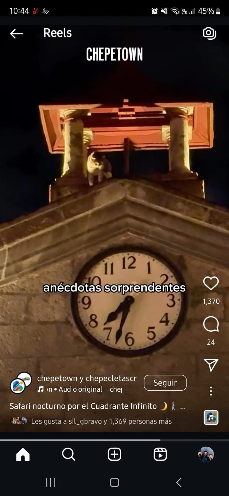 El gato Tom está buscando un hogar que lo adopte.