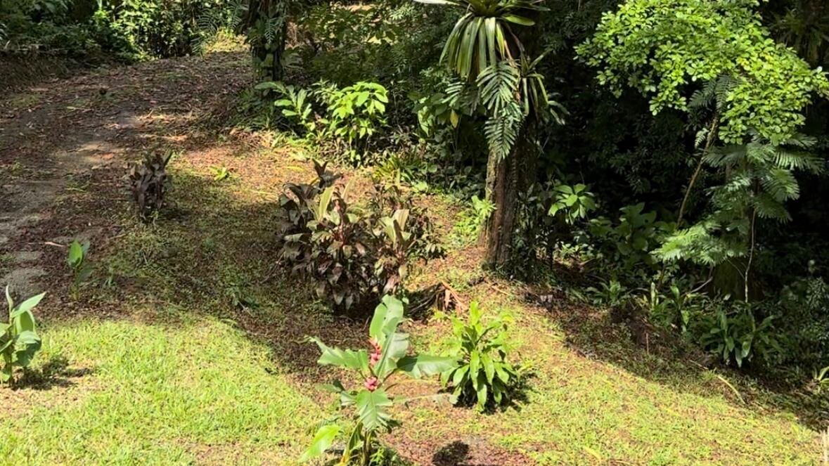 La naturaleza es la que hace que el lugar sea más hermoso aún.