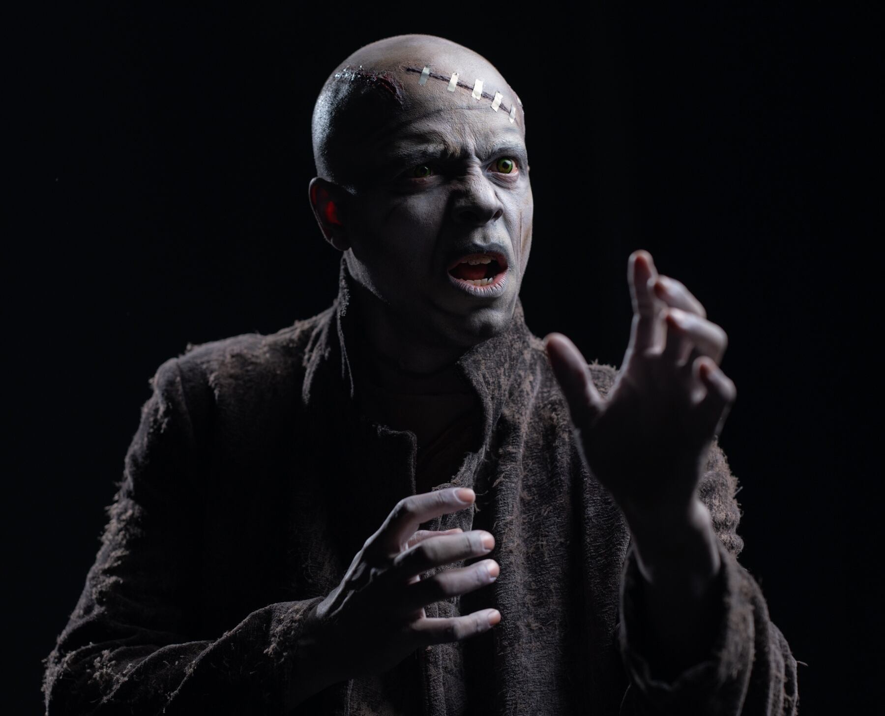 Esta es la primera vez que el montaje de 'Frankestein, el musical' se presenta en Costa Rica, pero la adaptación de la novela clásica ya ha estado en múltiples escenarios europeos.