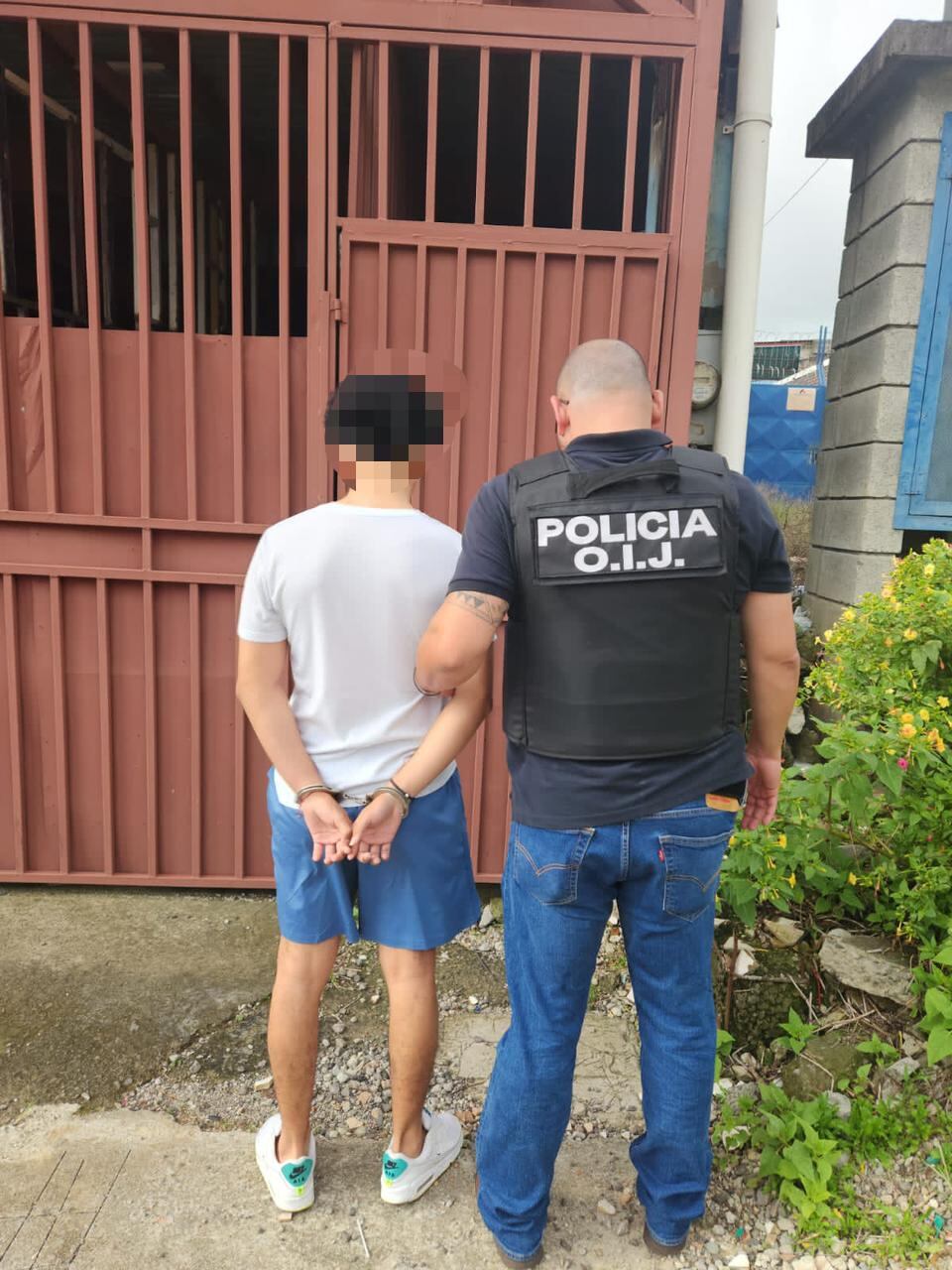 Decomisan serpientes a joven en Desamparados. Foto OIJ.