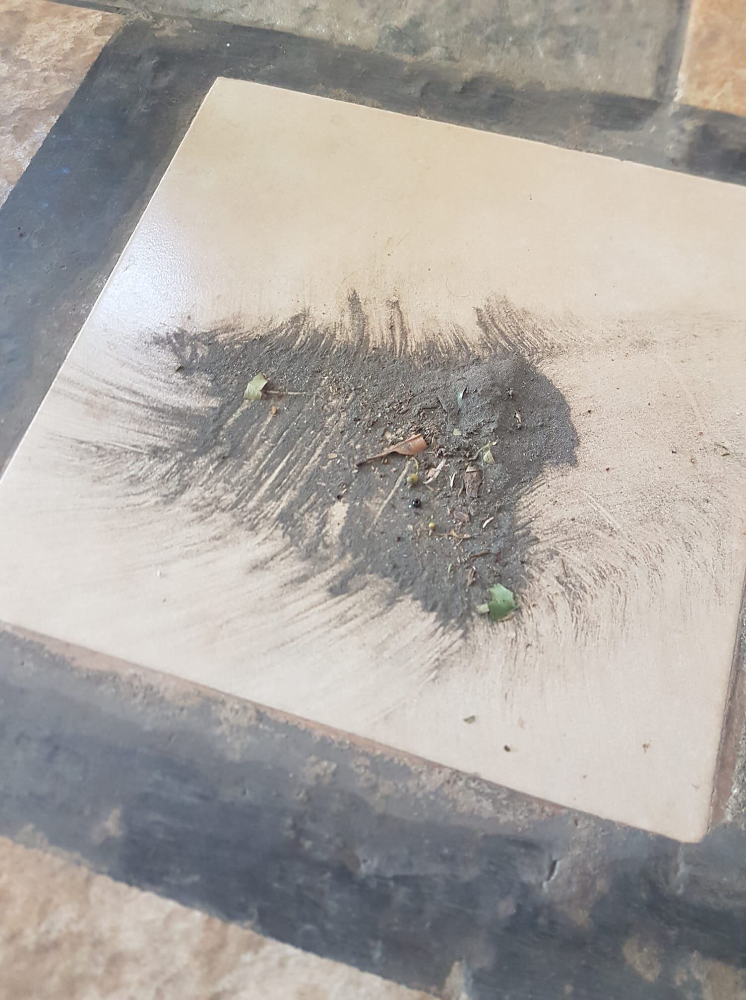 La ceniza lanzada por el volcán Turrialba invadió varias viviendas. Foto Magaly Quesada.