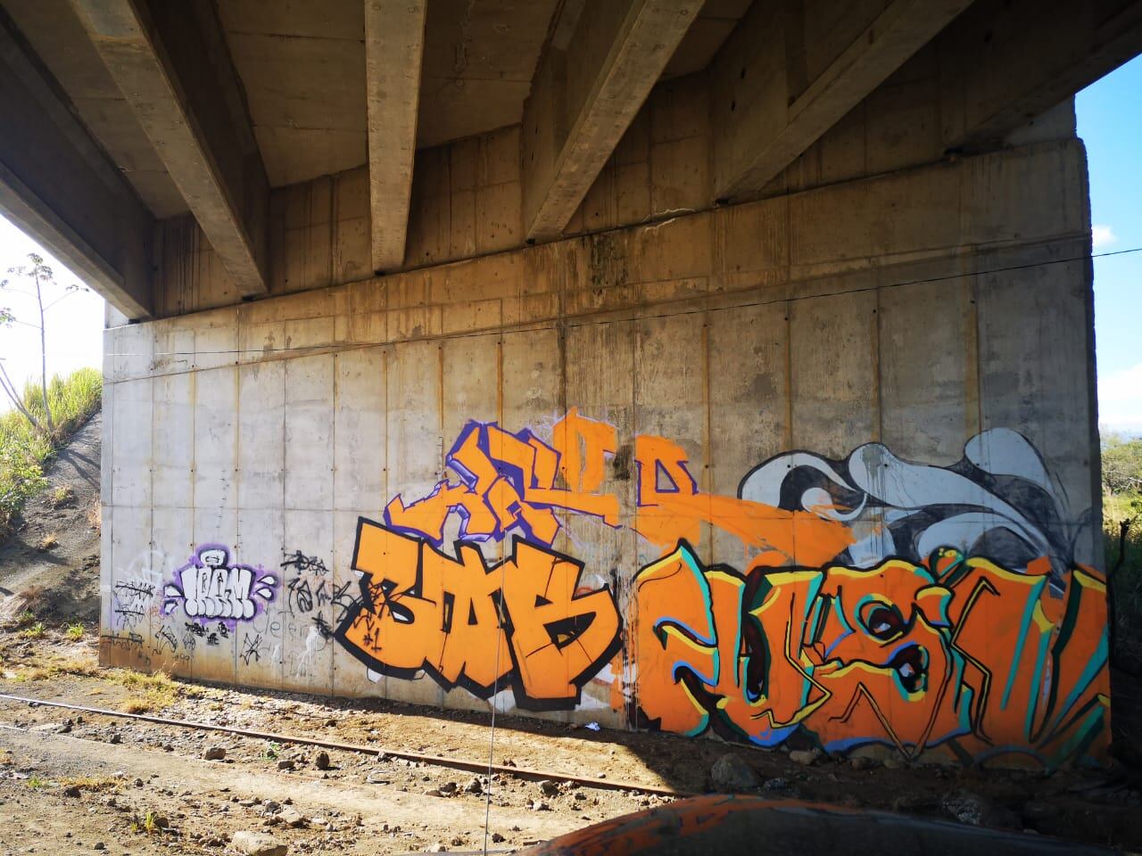 Grupo Soy Manudo hace murales en puentes y paredes