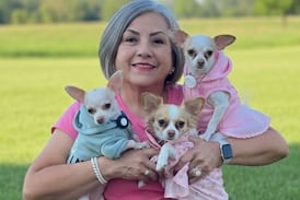 Periodista pasó de odiar a los perros a dormir con 3 chihuahuas: la historia de doña Milagro y sus perritos Dobby, Lía y Melody