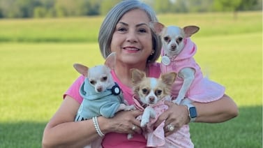 Periodista pasó de odiar a los perros a dormir con 3 chihuahuas: la historia de doña Milagro y sus perritos Dobby, Lía y Melody