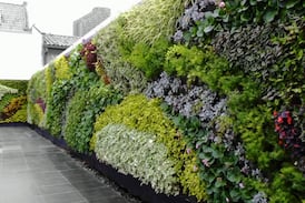 La feria de jardinería más grande del país es parte de la familia de Expocasa y Decoración 2026