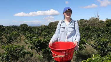 Acompáñenos a vivir la experiencia de coger café, como lo hacían nuestros abuelos