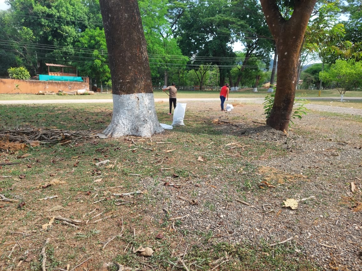 En Costa Rica hay muchas historias de pulseadores, pero la de Rodrigo Crovetto Chassoul, de 23 años, tiene un ingrediente que la hace única: el árbol de Guanacaste, símbolo nacional.