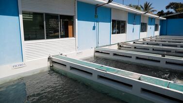 Sindicato del AyA hace fuerte denuncia sobre equipos para vigilar la calidad de agua