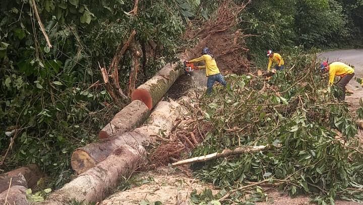 La apertura de la ruta 32 se realizaría hasta este sábado.