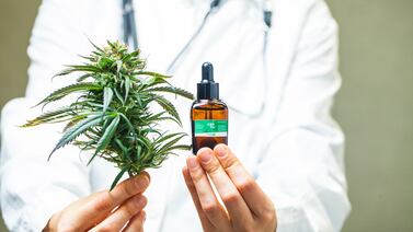 Un nuevo estudio clínico muestra cómo el cannabis puede transformar el tratamiento del dolor lumbar