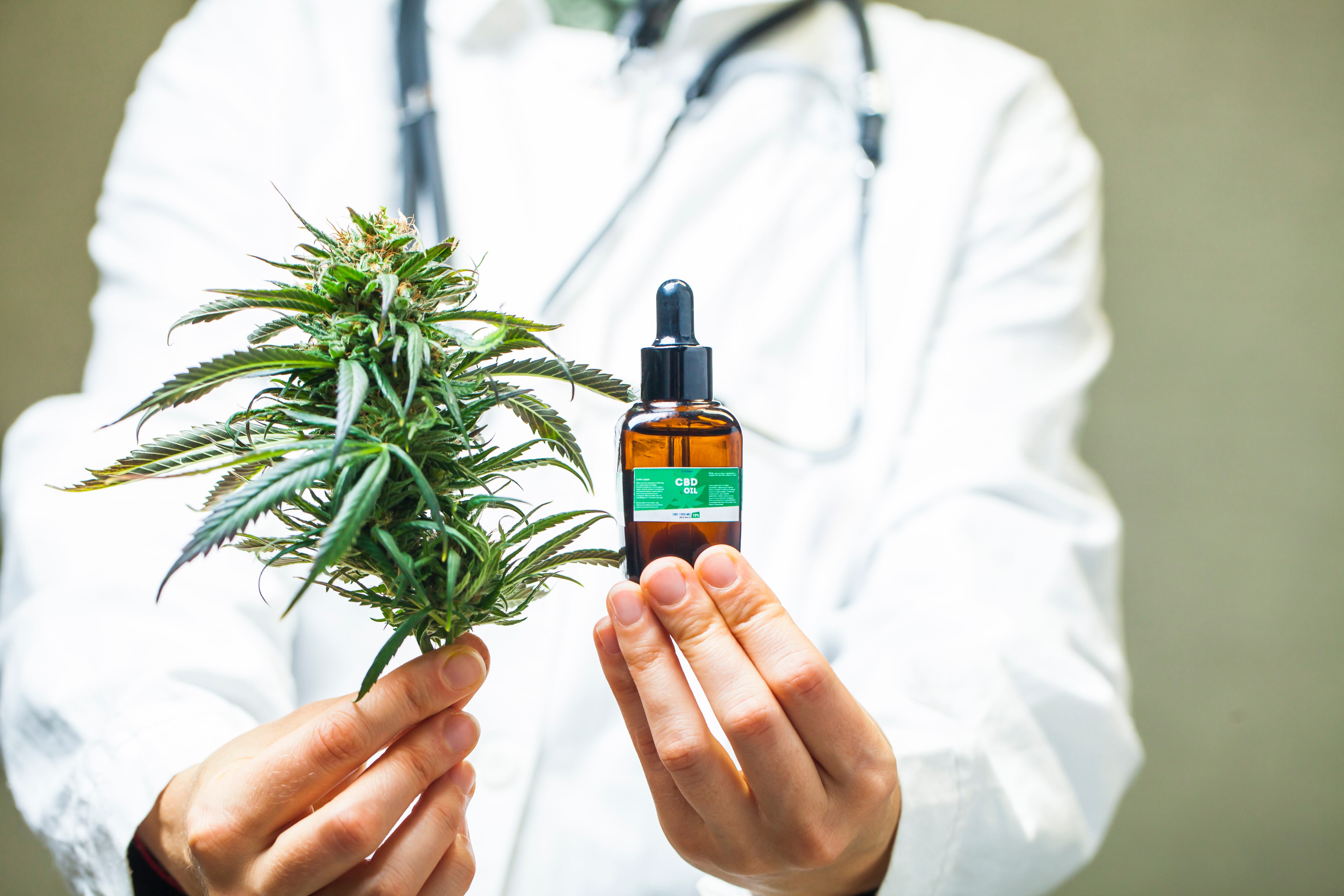 Consumo de cannabis CBD para usos medicinales