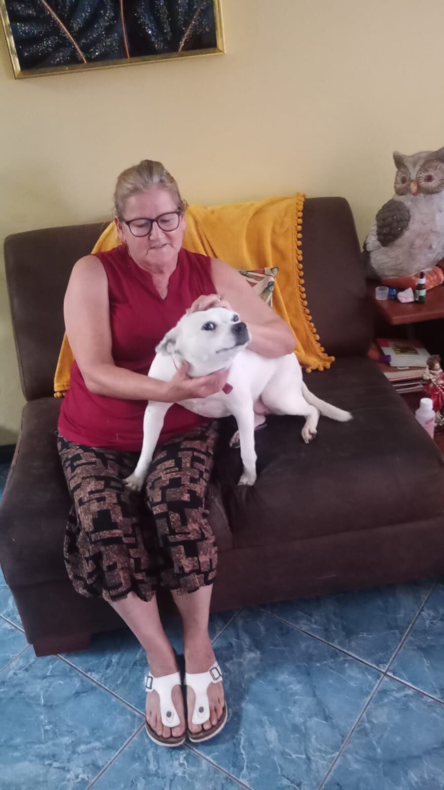 Isabel Camacho Gutiérrez es de esas mujeres que llevan a la Negrita metida en el alma. Mariana hasta los huesos, devota desde niña, con 65 años encima y un corazón que no deja de creer en los milagros, el año pasado recibió uno que vino con patitas, cola y un par de ojitos que le cambiaron la vida: Julieta, una perrita rescatada durante la romería 2024 y que hoy es la princesa de su casa.