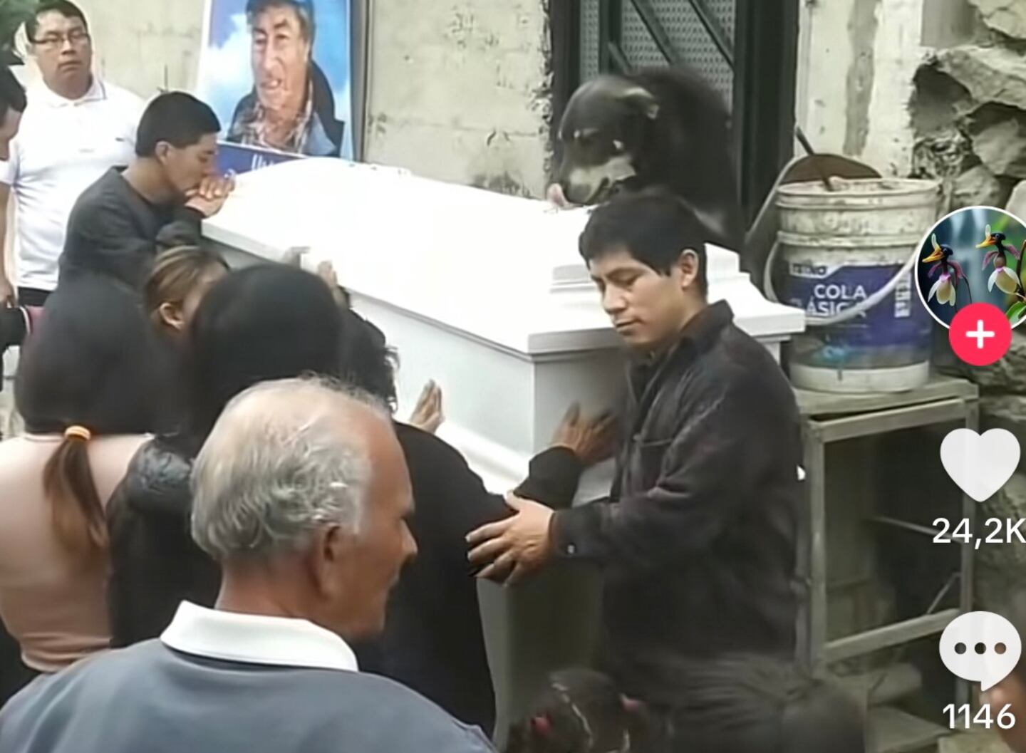 ¡Qué duro! Perrito se despide en funeral de su dueño | La Teja