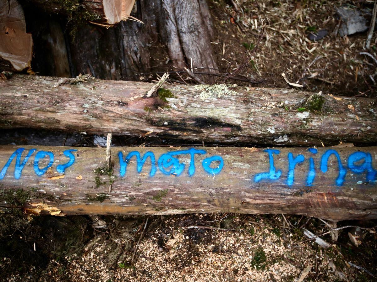 Irina Tkachenko ha sido duramente señalada por pedir la tala de los árboles en esta zona.
