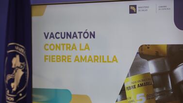 ¿Cómo se transmite la fiebre amarilla? Explicación según la OPS