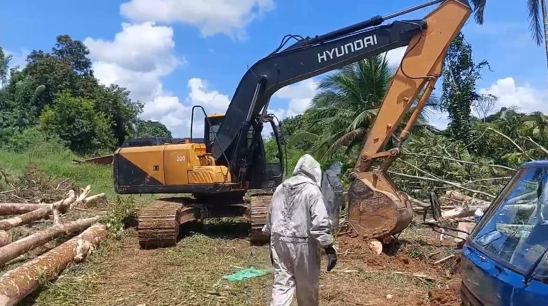 El trágico hecho ocurrió dentro de una finca agrícola en Pococí.