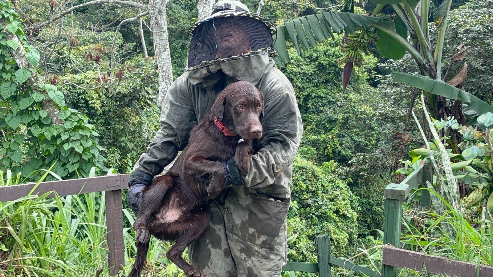 Los cinco perros de la pareja también fueron rescatados por los bomberos. Foto Bomberos.