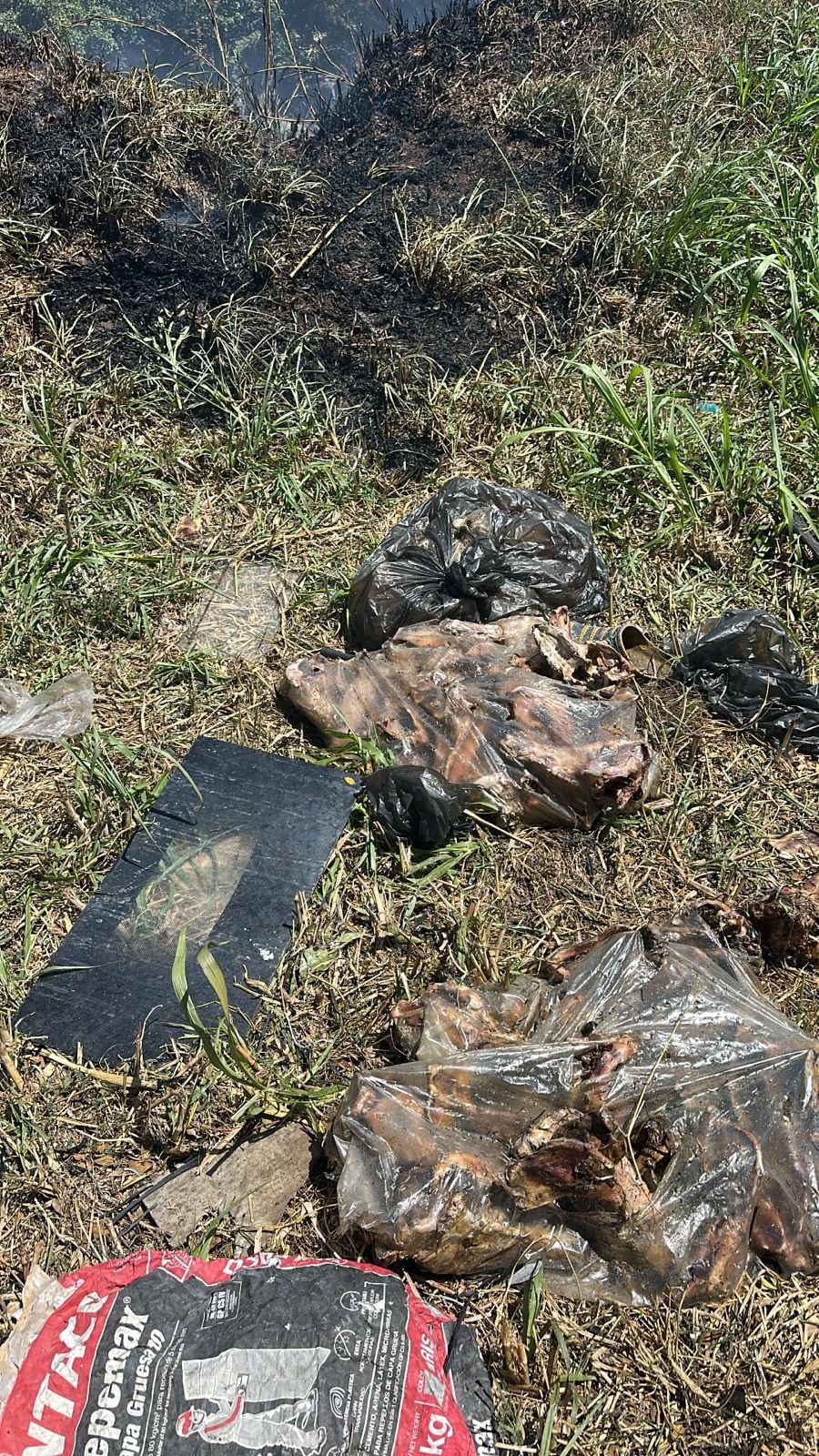 Las osamentas fueron ubicadas en bolsas en el sitio de la quema del charral.