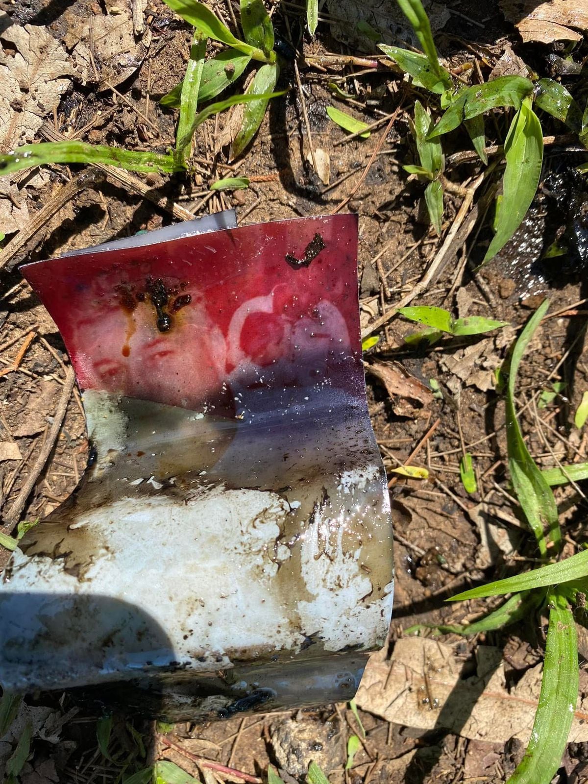 David Molina Roldán, ingeniero en informática y quien con equipo especial detecta metales, asegura que ha encontrado al menos 25 entierros con brujerías en distintas zonas del Gran Área Metropolitana, especialmente en San José.