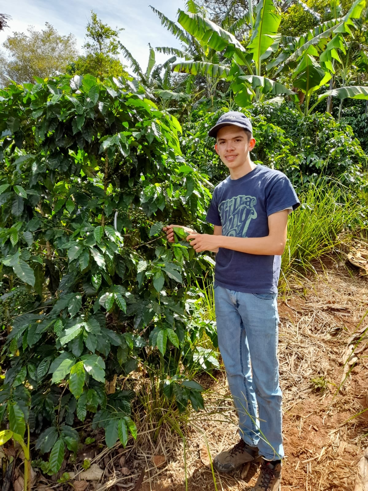 Rodrigo Ureña Monge, vecino del barrio Guadalupe de Tarrazú, en plena Zona de los Santos, tiene una historia que combina café, madrugadas y mucha perseverancia
