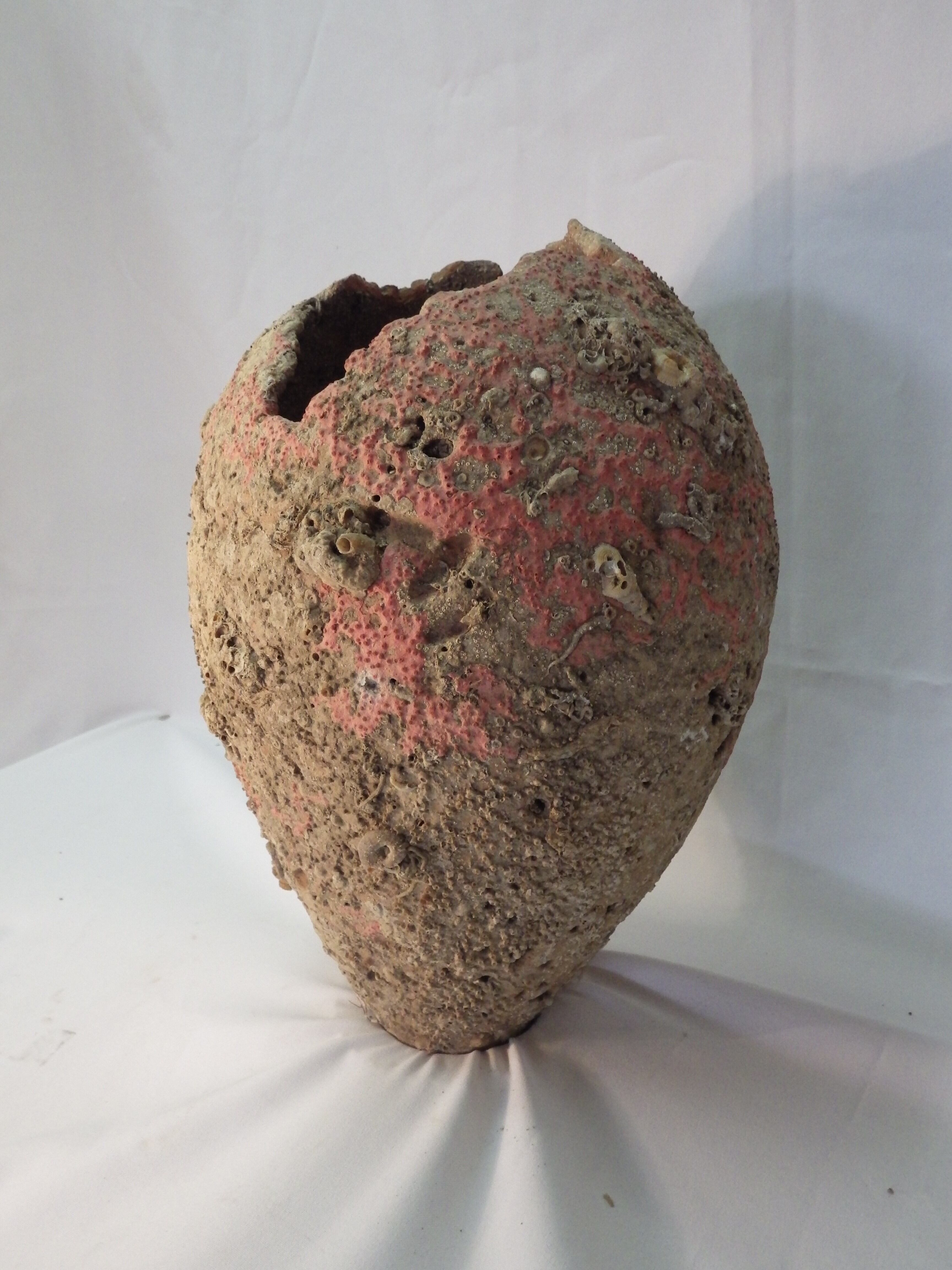 Desde el 13 de julio y hasta el 18 de agosto del 2022, el Museo Nacional de Costa Rica lanza una campaña para que todas las personas físicas o jurídicas que posean bienes dentro de la categoría de Patrimonio Cultural Subacuático (PCS), los registren y de esta forma mantengan su custodia