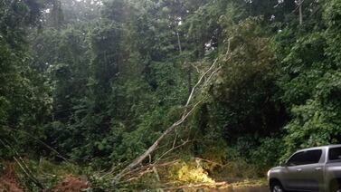 Lluvias golpean con fuerza la zona norte del país